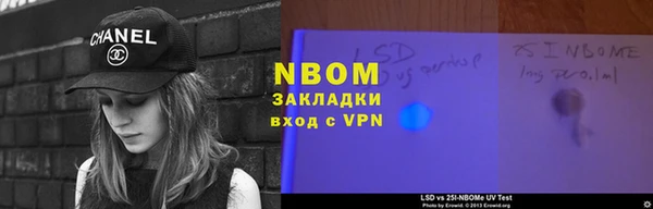 хмурый Алзамай