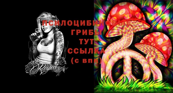 альфа пвп Алексеевка