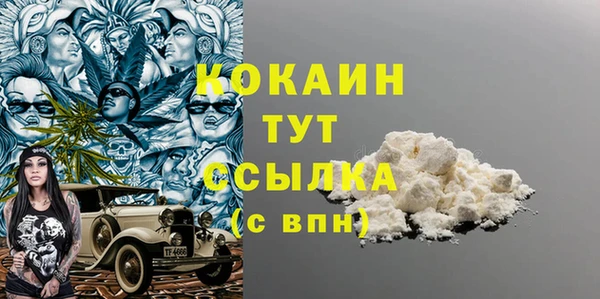хмурый Алзамай