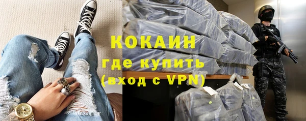 хмурый Алзамай