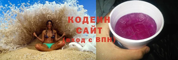 хмурый Алзамай